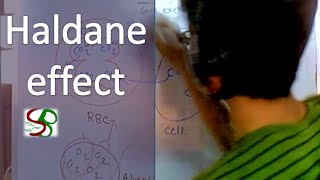 Haldane effect [upl. by Valaria]