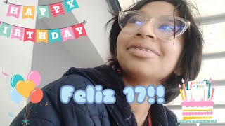 Mi cumpleaños N°17  vlog 11 [upl. by Malamud]