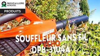 Souffleur sans fil DPB3104A Echo fabrication japonaise [upl. by Ronald367]