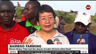 Bamboo Farming Project to stabilize soils in Lake Region launched [upl. by Roz]