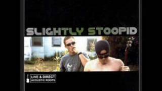 Slightly Stoopid  Cool Down [upl. by Everett]