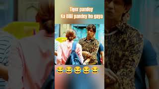 Tiger pandey comedy funny comedy comedyshorts [upl. by Datha]