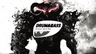 Best Brutal Drum and Bass Mix HARD DrumampBass Mix 2016 October [upl. by Lanford497]