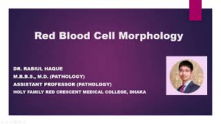 Red Blood Cell Morphology [upl. by Barnum84]