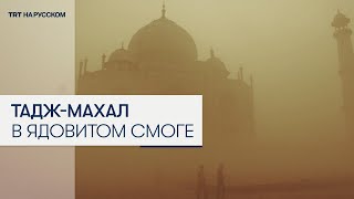 Смог в Индии в городах резко ухудшилось качество воздуха [upl. by Estevan]