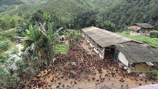 FULL VIDEO 130 Days of raising chickens How to care for chickens and prevent diseases Chicken Farm [upl. by Netfa]