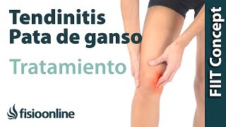 Tratamiento de la tendinitis de la pata de ganso [upl. by Sherrard]