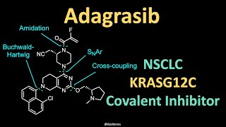 Adagrasib – Mechanism of Action and Synthesis [upl. by Airdnahs]