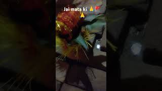 Mata ka jawareharyana on topjai mata ki🚩🙏🚩please subscribe my my channel 🙏🙏🙏 [upl. by Vevay]