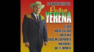 Pedro Yerena  12 Grandes Exitos Disco Completo [upl. by Erreipnaej]