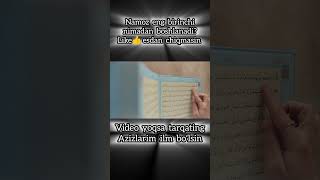 Namozning boshi nima islam islamquran islamicvideo islamicstatus quran arabic топ [upl. by Nal856]