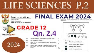 2024 FINAL EXAM LIFE SCIENCES GRADE 12 PAPER 2 MAY JUNE 2024 THUNDEREDUC MSAIDI QN 24 GENETICS [upl. by Enaffit327]