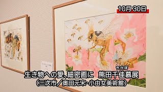 「熊田千佳慕の世界展」 生き物の細密画や絵本原画並ぶ（三次市／奥田元宋・小由女美術館） [upl. by Odlo292]