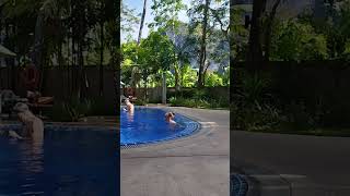 Рыбка thailand krabi aonang hotel travel [upl. by Tlevesor]