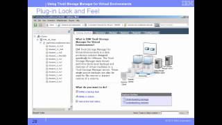 Understanding Tivoli Storage Manager for Virtual Environments [upl. by Lundell]