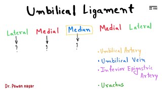 Umbilical Ligament  NEET PG 2023 Recall  Dr Pawan nagar [upl. by Aitercal]