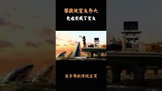 男孩被鲨鱼养大，竟也变成了鲨鱼。科普 知识 冷知识 [upl. by Lucy]