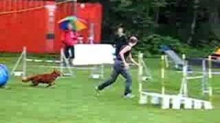 Agility on Tollerspeciality 2007 [upl. by Nywroc]