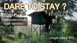 Treehouse inside tiger territory  No other humans around  Wayanad forest stay  Jungle retreat EP2 [upl. by Shiroma]