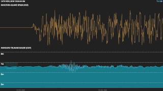 Watch a tsunami being created by the Kaikoura earthquake [upl. by Matheson]