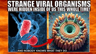 Never Before Seen Viral Organisms Found Inside Our Bodies  quotObelisksquot [upl. by Glenine]