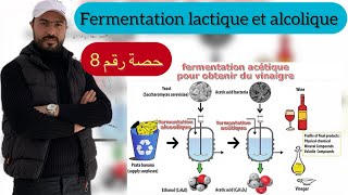 La Fermentation lactique et alcolique 2BAC SVT ampPC [upl. by Atteuqal]