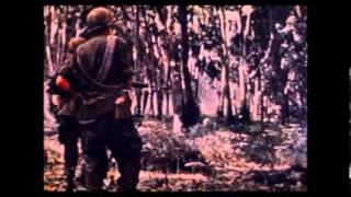 My Tour in Vietnam 1969 70 [upl. by Nnek911]