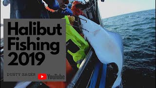 Alaska Halibut Fishing 2019 HD [upl. by Deeas]