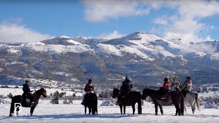 Bariloche  Cabalgata [upl. by Esdnil]