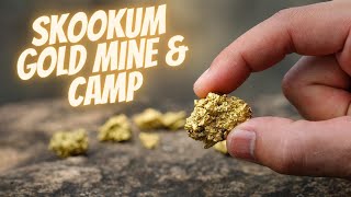 Skookum Gold Mine and Camp The Journey Begins [upl. by Kwok]