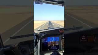 Cockpit landing video [upl. by Ettelocin217]