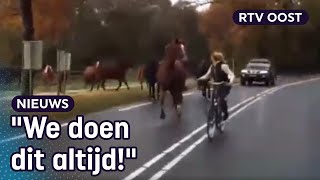 Oversteken met 13 losse paarden quotWe doen dit al twintig jaar quot  RTV Oost [upl. by Etolas816]