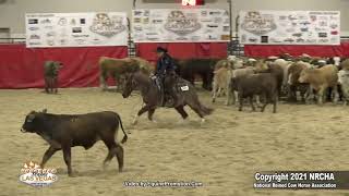 Erin Taormino Hazardouz Material 2021 NRCHA Stallion Stakes Open Stakes Finals Herd [upl. by Assenahs380]