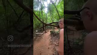 KRABI HIGHLIGHTS🇹🇭🏝️☀️ shortvideo travel viralvideo beach exotic video thailand island [upl. by Ecnerwaled953]