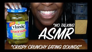 MINI PICKLES ASMR [upl. by Ellard]