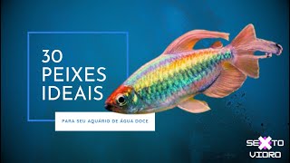 30 espécies de peixes para aquários de água doce [upl. by Kerwinn]