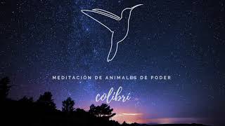 Meditación animales de poder Colibri [upl. by Luedtke]