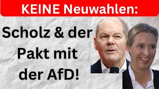 Pest oder Cholera Warum Scholz bleibt und Merz verliert [upl. by Adnorrahs323]