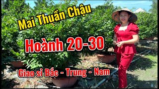 Mai chơi tết 2024 giao lưu sỉ hoành 2030 khung tàng lớn [upl. by Miksen592]