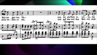 Schubert  Winterreise Gute nacht Padmore Lewisflv [upl. by Rotman108]