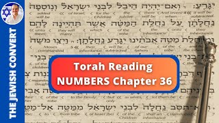 Numbers Chapter 36  Torah Reading in Hebrew with English Translation  TORAH STUDY [upl. by Gebelein715]