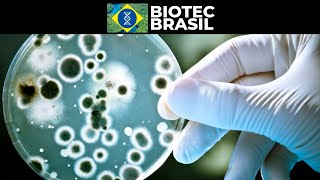 O que é a BIOPROSPECÇÃO [upl. by Reel]