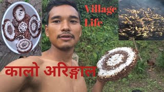 Aaja Aringal khaiyoKalo AringalSandeep Magar Vlog [upl. by Glory]