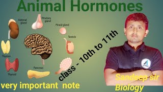 class 10 Hormones [upl. by Atews439]