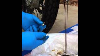 Part 2 KTM 990 Adventure Oil Change [upl. by Aleedis392]