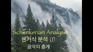 20th Century Music Theory 20세기 음악이론 Schenkerian Analysis 1 쉔커식 분석 [upl. by Nita]