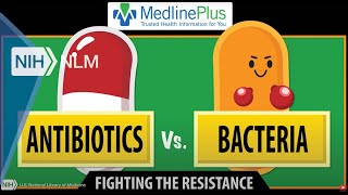 Antibiotics vs Bacteria Fighting the Resistance [upl. by Adnoved601]