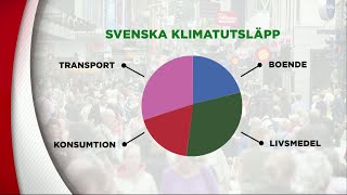 ”Svenskars klimatpåverkan mycket värre än vad som syns i statistiken”  Nyheterna TV4 [upl. by Woodrow]