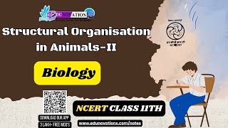 Structural Organsiation In Animals  NCERT Class 11 BIOLOGY  CBSE  NEET [upl. by Kaleena274]