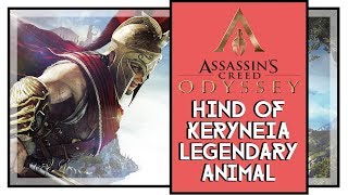 Assassins Creed Odyssey Hind of Keryneia Legendary Animal Location [upl. by Masao]